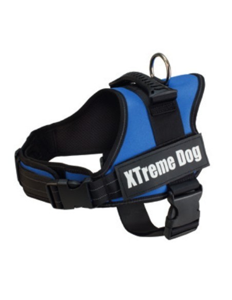 PETT.EXTREME DOG TG.S BLU ARQUIVET