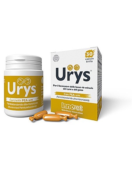 URYS CUR 30 CPR INNOVET