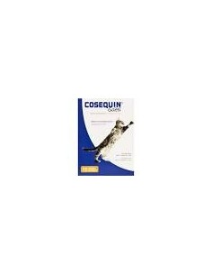 COSEQUIN GATTI 15 CAPSULE CANDIOLI