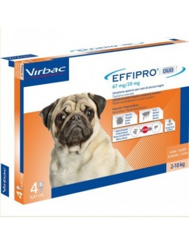 EFFIPRO DUO CANI SMALL 4 PIPETTE 2-10 KG