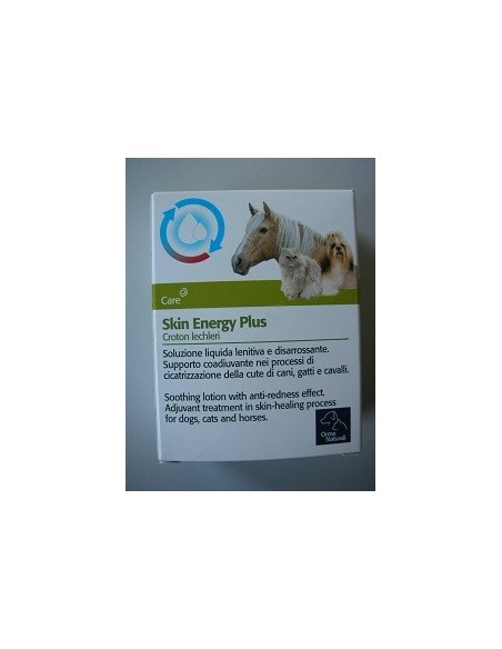 SKIN ENERGY PLUS ML.20