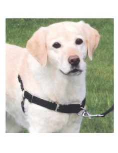 EASY-WALK PETTORINA ADDESTRAMENTO MIS L