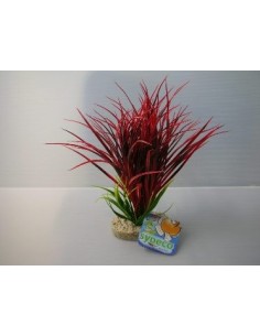 PIANTA SYDECO FAN GRASS CM.30 MANTOVANI