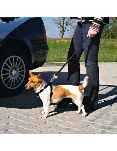 PETTORINA DI SICUREZZA PER AUTOMOBILE MIS.S TRIXIE