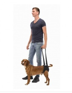 Imbracatura di Sostegno misura media. Accessori Medicali per cani.