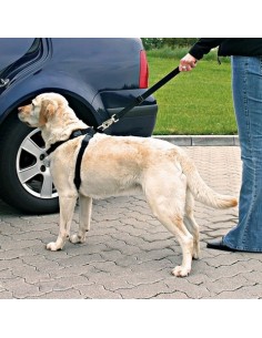 PETTORINA DI SICUREZZA PER AUTOMOBILE MIS.XL TRIXIE
