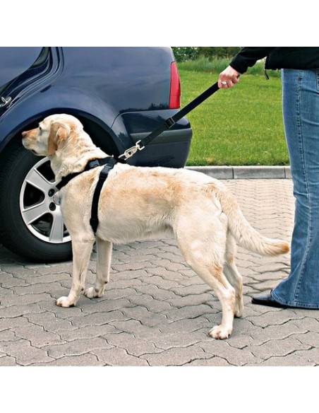 PETTORINA DI SICUREZZA PER AUTOMOBILE MIS.XL TRIXIE