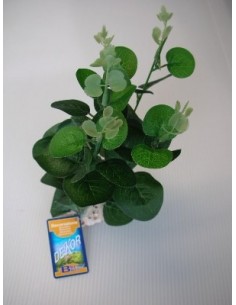 PIANTA DEKOR CUORE VERDE