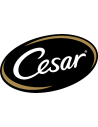 CESAR